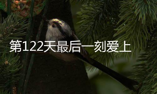 《八零对照组：换亲后，我被团宠了》全文在线阅读