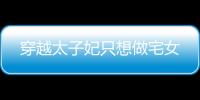 穿越太子妃只想做