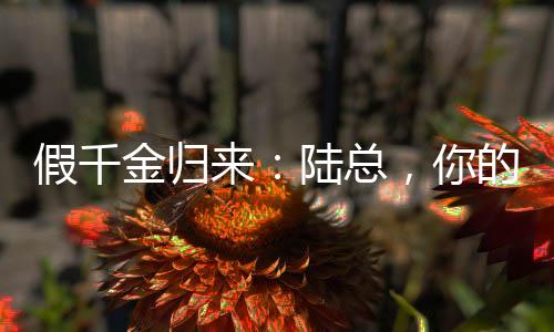 《夫人她马甲又轰动全城了》全文在线阅读