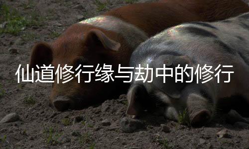 《替嫁随军第一晚，她就住进了医院》全文在线阅读