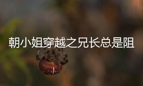 《预谋心动》全文在线阅读