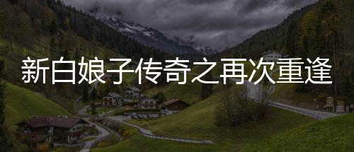 《夫人每天都在线打脸》全文在线阅读