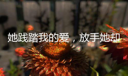 《许你万丈光芒好》全文在线阅读