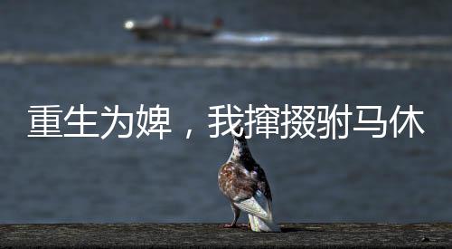 《开局就被赶出豪门》全文在线阅读